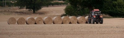 FJD-geodesical-BANNER.jpg
